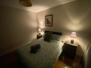 ulsterville cosy apartment 5 min walk from city center