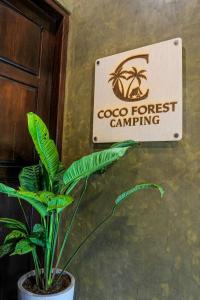 Coco forest camping
