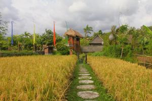 Anandinii Resort Sidemen by AGATA