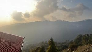 Krishna Holiday Guest House