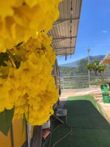 NamBanhomestay&cafeDalat