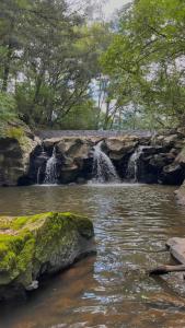 Cabaña Sendero De Las Luciernagas