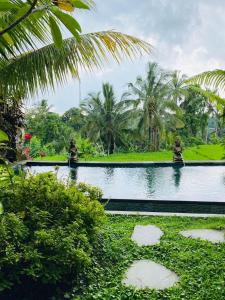pondok ubud nia cahya