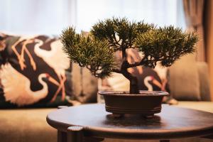 Premium Apartment Hotel Tokyo Shinjuku