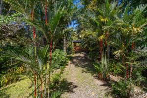 Charming Villa Surrounded by Nature Punta Uva