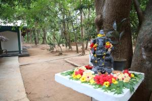 Sigiriuyana wellness resort