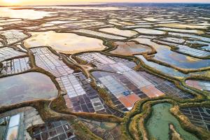Votre cocoon à 10 min de St-Nazaire