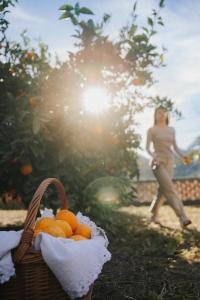 Corte Luna Solanas Terrazza BBQ 6 ospiti img16