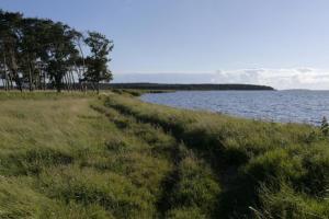 Fewo 07 Eismöwe mit Blick auf Salzhaff und Ostsee