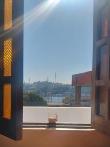 elephantine nile view house