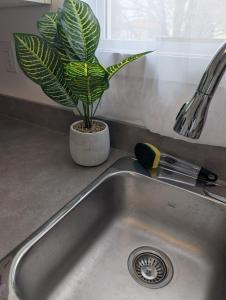 Brand New Affordable 3 Bedroom Suite