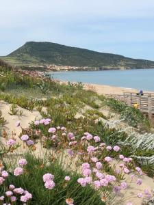 La Villa Singola img19