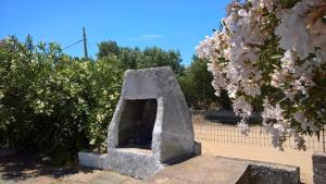 La Villa Singola img28