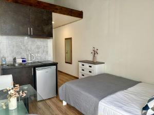 Filosoofi 1 Studio Apartments