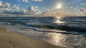 Apartamentai su terasa