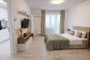 Central apartment Panoramic View