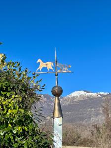 Agriturismo al Ranch