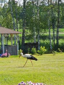 Berzkrasti Lake House with Private Sauna & Beach