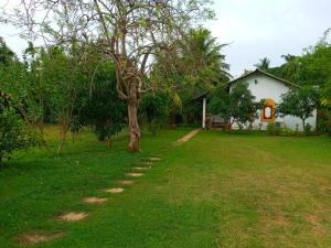 Habarana Hideaway Guest