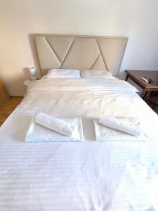 Central Station Apartment Podgorica