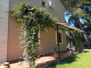 High aesthetics maisonette in the wood by the sea