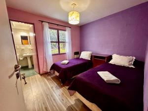 Araucaria, Casa Patagonica