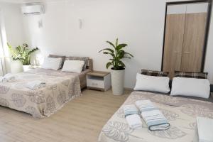 Апартамент у центрі з балконом