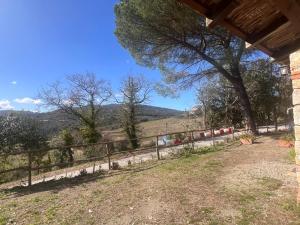 LA GRANCIA DEL SANTO