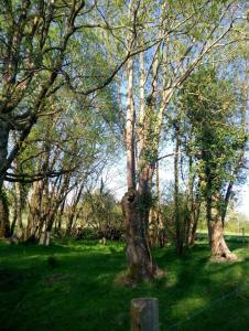 Les Clés Nature Studio 42