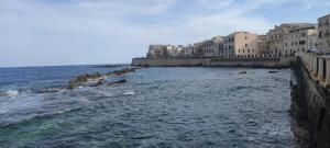 Pecla Ortigia img42