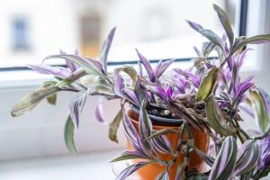 Residenz Schlossturm