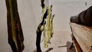 META Affittacamere img7