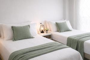 Noctua 011 Casares del sol 2