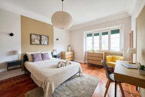 Luminous Apartment in Lisbon
