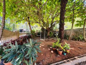 Anugraha Homestay Munnar