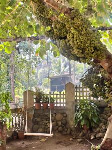 Anugraha Homestay Munnar