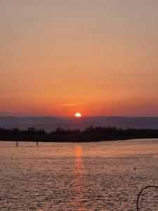 Pretty cocoon at the foot of the pond