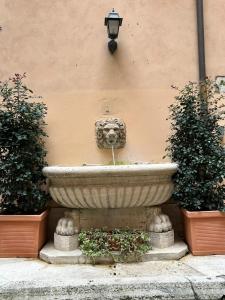 Mommys - Pantheon house