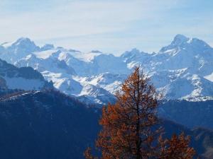 Beautiful chalet accommodation with covered parking
