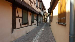 Le Dolder Gîte de Luxe classé 4 étoiles au coeur des remparts de Riquewihr - Animaux de compagnie acceptés