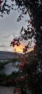 Florez de la Villa Apart Hotel