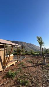 Hotel Masai Mara Appartements & Glamping