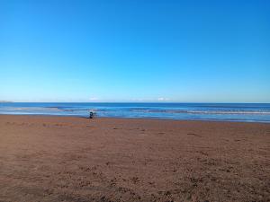 2 bed Chalet Sleeps 4 Pets Garden Views