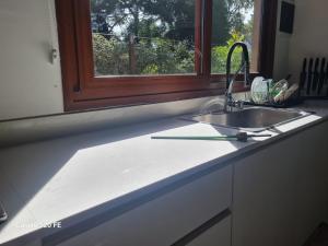 Entre el bosque y el mar