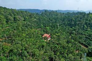 Dadad Gadde Nature Stay - Estate, Home Food, Near to Falls & Sightseeing