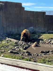 Quinn Peaks Guest House in the mountains