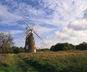 Pretty Cottage in Harleston, Norfolk, dog friendly