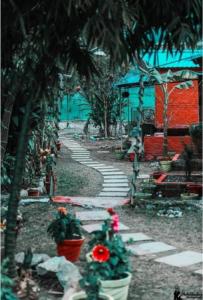 Junglelore camp resort & retreat