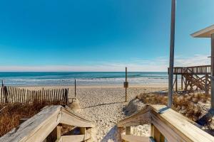 SC1011 Living the Dream