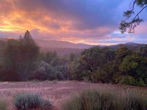 Cozy Woodworkers Cabin, 26 miles to Yosemite!